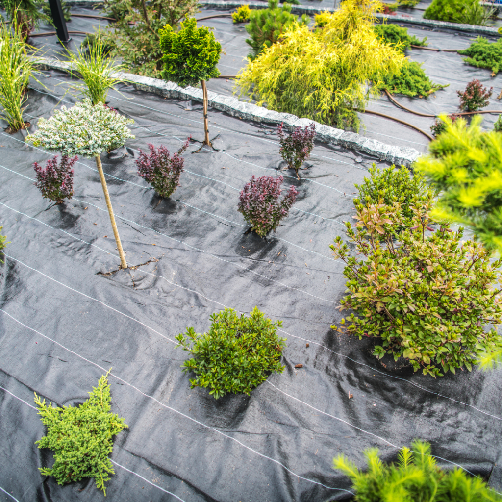 Commercial landscaping company in North Texas maintaining a business property lawn and landscape beds.