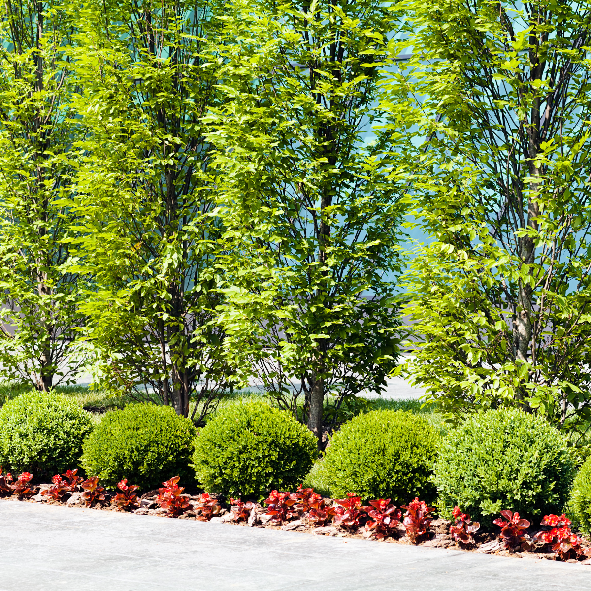 commercial landscape (1)