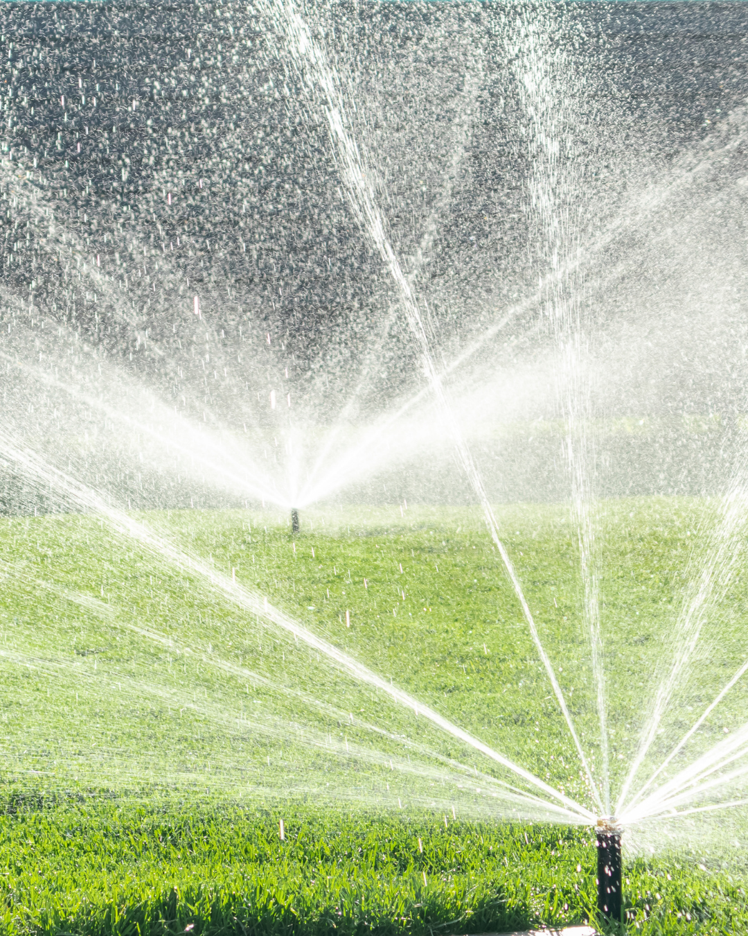 irrigation (1)